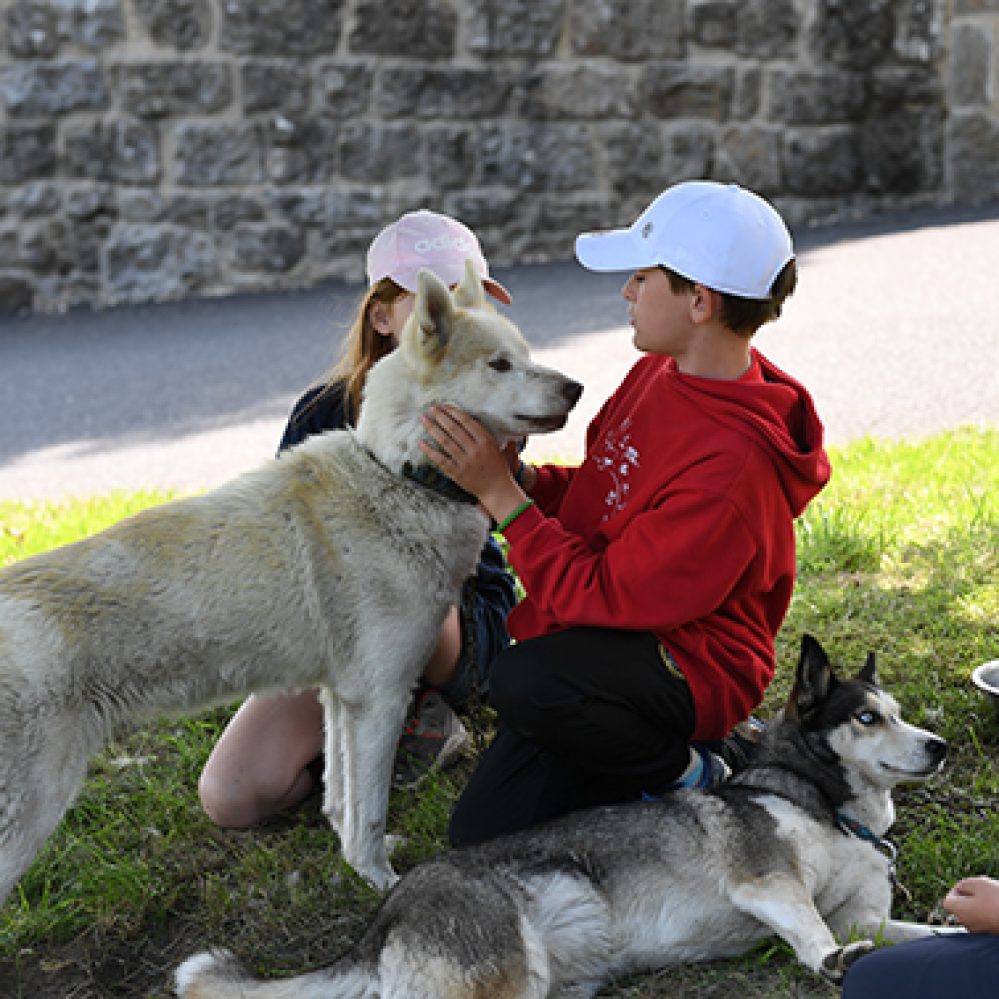 Huskies Aventure (10)