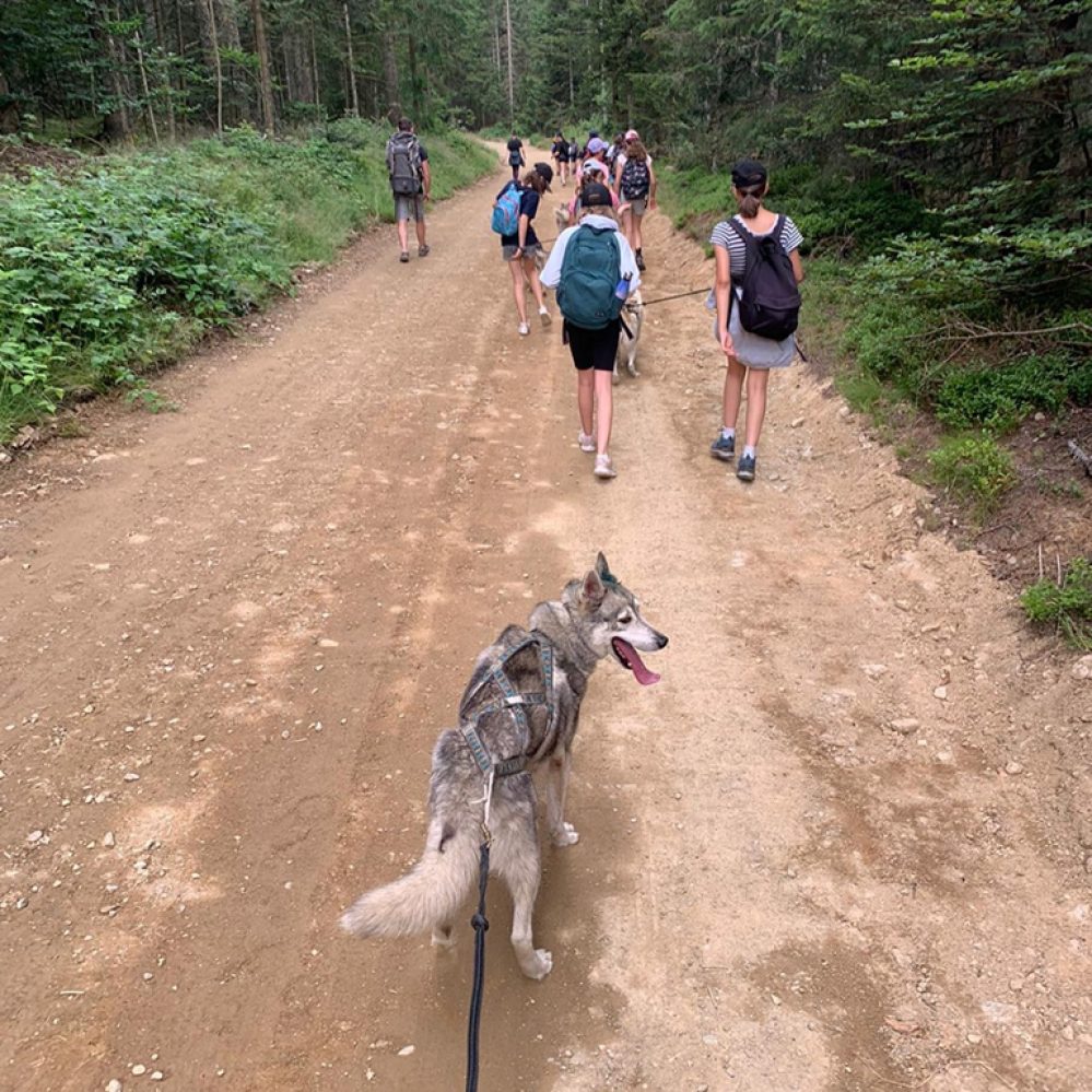 Huskies Aventure (7)