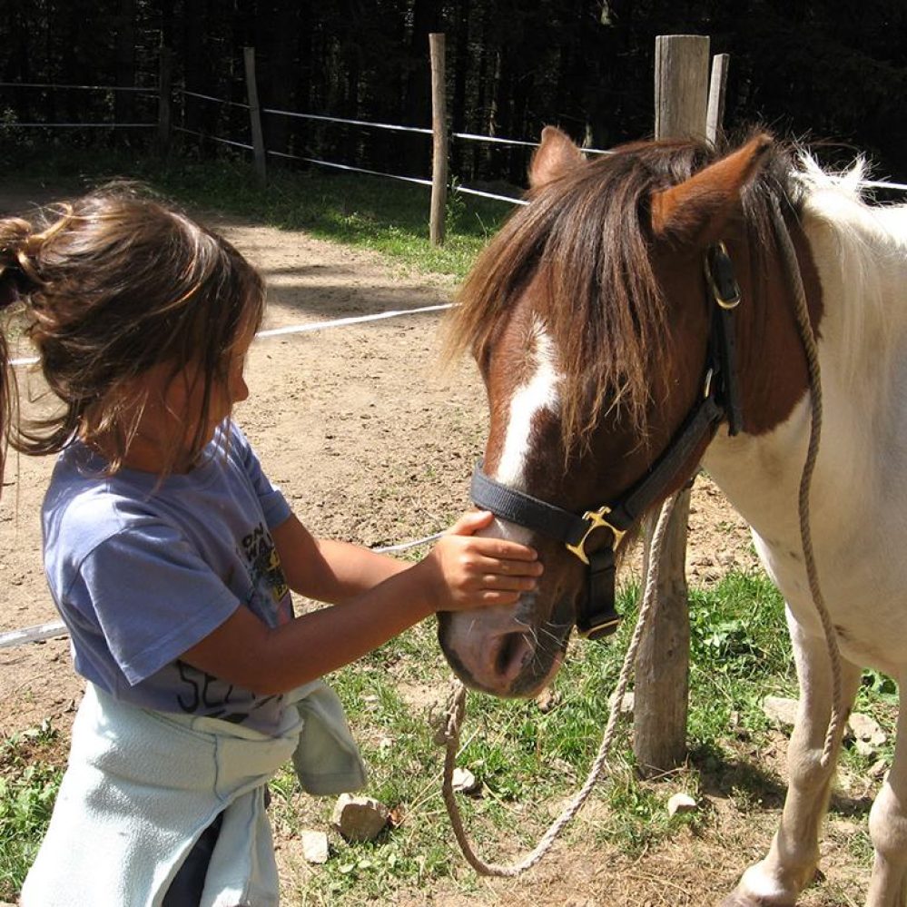 Mon Doux poney (1)-compressed